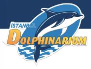 İstanbul Dolphinarium’da Yunuslarla Özel Yüzme Programı ve Gösteriler