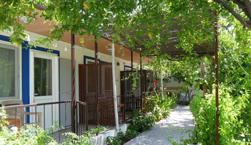 Bodrum’da Doğallığın ve Konforun Yeni Adresi: Mazi Çiçek Pansiyon