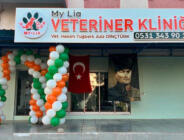 My Lia Veteriner Kliniği, Menemen’de Güvenin ve Şefkatin Simgesi Oldu