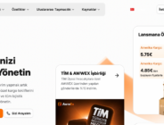 Awwex – Almanya Gönderilerinde Gümrük ve Teslimat Risklerini Azalt