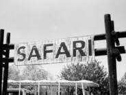 Marmaris At Safari: Doğanın Kalbinde Eşsiz Bir Deneyim