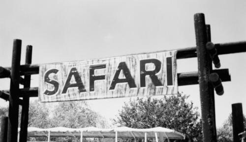 Marmaris At Safari: Doğanın Kalbinde Eşsiz Bir Deneyim