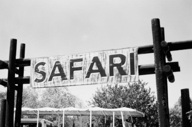 Marmaris At Safari: Doğanın Kalbinde Eşsiz Bir Deneyim